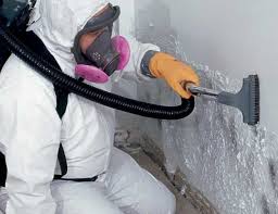 Best Black Mold Removal in Ford City, PA